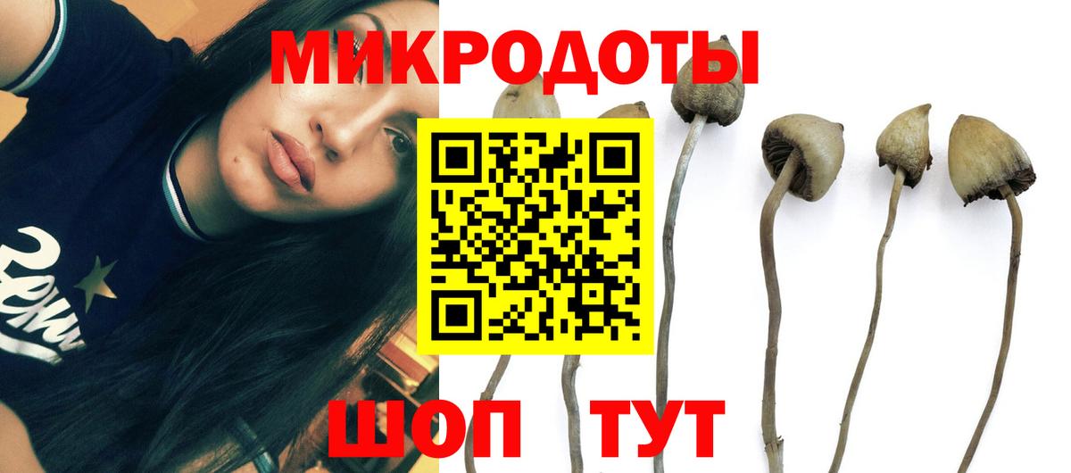 Галлюциногенные грибы ЛСД  Вход с VPN  Каспийск 
