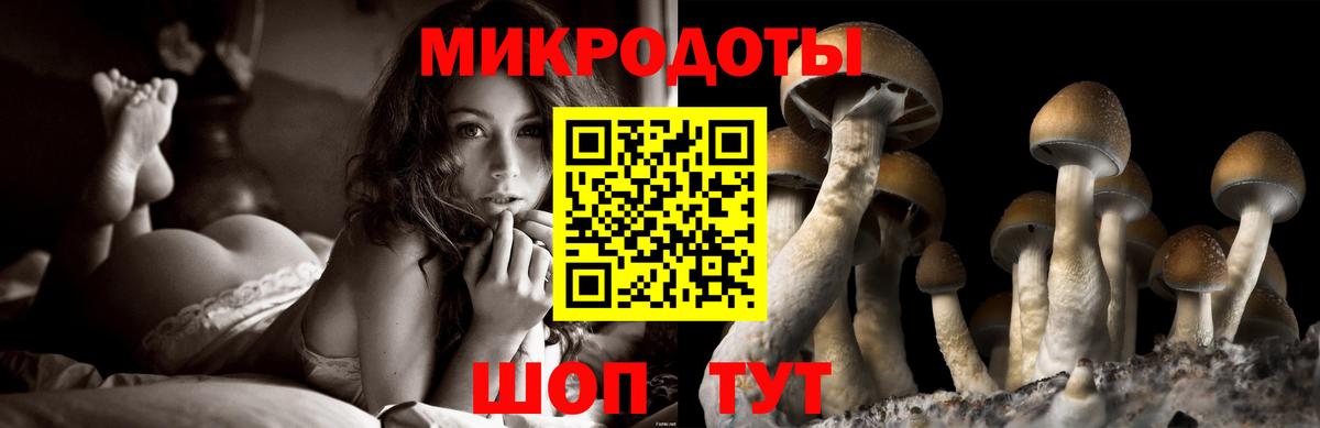 Галлюциногенные грибы Cubensis Каспийск